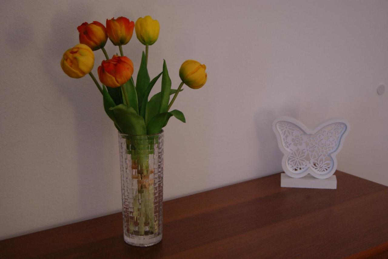 Apartment Lynx Korenica Εξωτερικό φωτογραφία